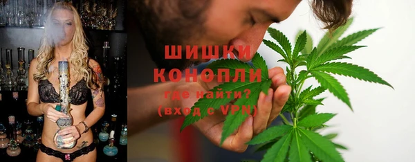 ГАЛЛЮЦИНОГЕННЫЕ ГРИБЫ Краснотурьинск